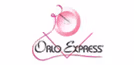 logo Orlo Express